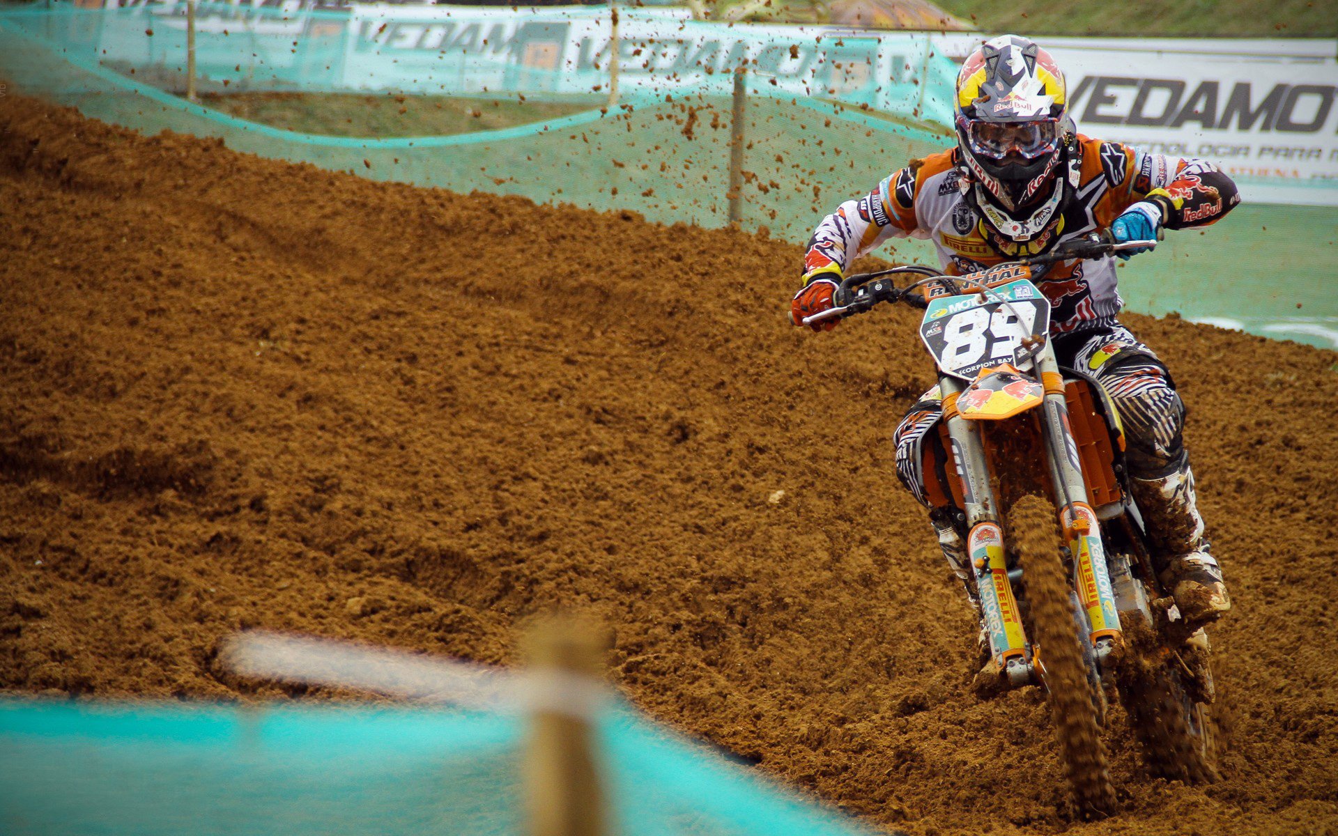 _森林狼士气高昂，迈向季后赛正当时_，森林狼打进季后赛